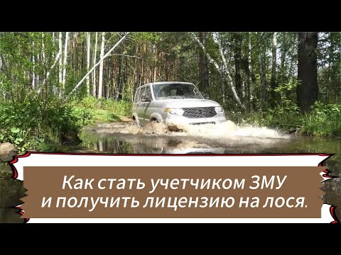 Видео: Как стать учетчиком