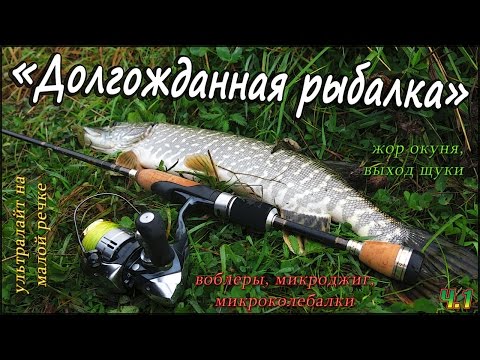 Видео: Жор окуня, выход щуки, с лёгким спиннингом на малой реке осенью - "Долгожданная рыбалка" - Ч.1