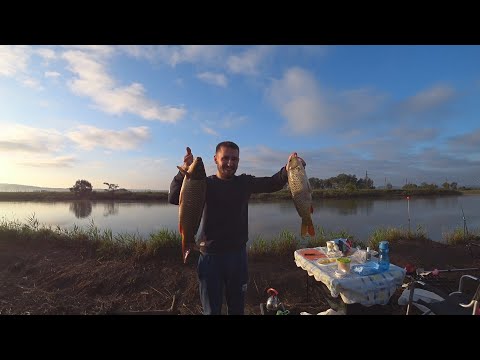 Видео: Удачная Рыбалка! Дикий Сазан На Спиннинг. Ночной Жор. Ловля На Жмых