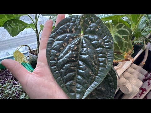 Видео: Всем привет! 👋  Очень давно не виделись..