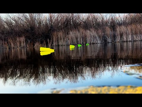 Видео: Почему я раньше так не ловил ?Лучшая снасть на щуку осенью!!!Рыбалка на щуку в конце октября!