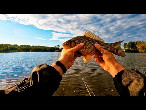 Видео: ХЕРАБУНА для тех, кто любит ПОЖЁСТЧЕ!! НОВАЯ удочка 6Н 4,8/19