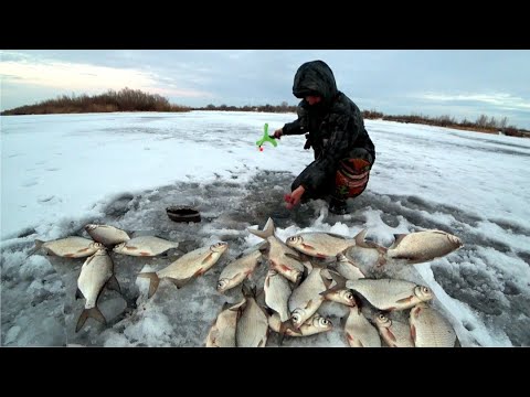 Видео: БЕШЕНЫЙ КЛЁВ ГУСТЕРЫ. ЗИМНЯЯ РЫБАЛКА В ГЛУХОЗИМЬЕ 2023