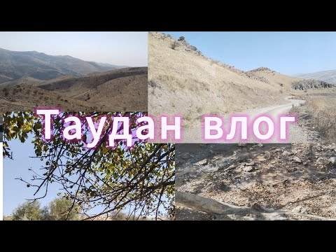 Видео: Тауға барамыз уарааааа😍😍🍰🧁🥧🍫🍟🍉🍌🍎🍏/1000падпичкаға  жеткізейік достар