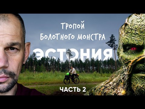 Видео: Сквозь эстонскую тайгу на велосипеде. Эстония.