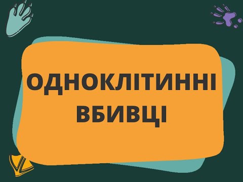 Видео: Одноклітинні організми, що викликають захворювання людини. "Одноклітинні вбивці" (ІНФАСОТКА)