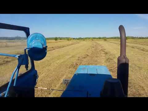 Видео: Сенокос 2025 г.
