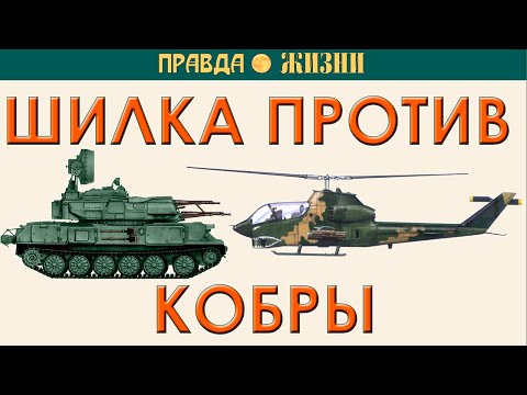 Видео: Шилка против Кобры
