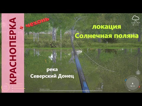 Видео: Русская рыбалка 4 - река Северский Донец - Красноперка трофейная за околицей