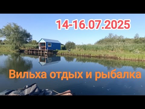 Видео: Караси мутанты!!!