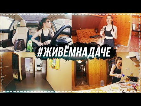 Видео: #ЖивемНаДаче день 8 | Уехала в Москву | Нас с Кариной сравнивают