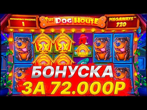 Видео: ЭТО МОЙ САМЫЙ КРУПНЫЙ ЗАНОС В THE DOG HOUSE