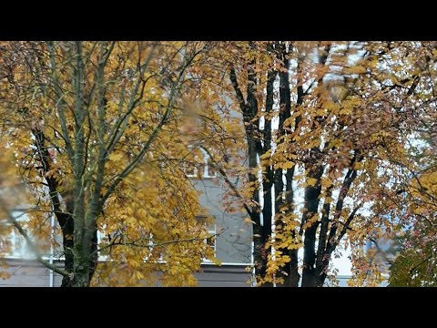 Видео: В дороге!