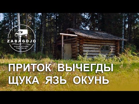 Видео: Щука язь окунь | рыбалка на спиннинг | осеннее путешествие на лодках | приток Вычегды Коми