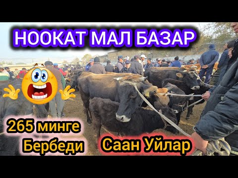 Видео: Ноокат Мал Базар Саан Уйлар  👍 265 минге Бербеди 25 лт Сүтү Бвп 😱 26 Октябрь