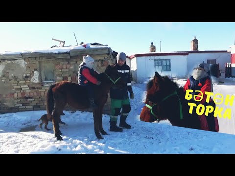 Видео: 4 жасар Бибарыс жабағы үйретуде, Торка және БӘТӨН
