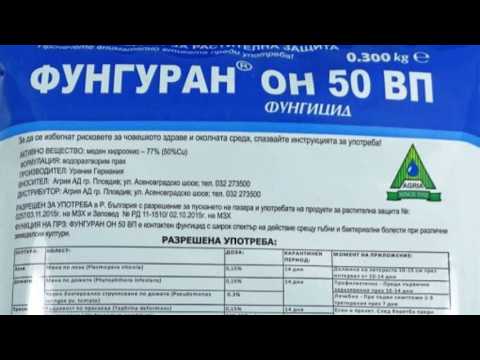 Видео: ПРЪСКАНЕ НА ДРЪВЧЕТАТА ПРЕДИ И СЛЕД ЦЪФТЕЖА ПРЕЗ ПРОЛЕТТА / КАКВИ ПРЕПАРАТИ МОЖЕМ ДА ИЗПОЛЗВАМЕ?