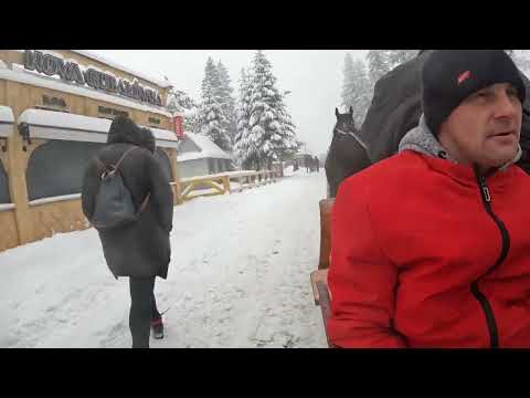 Видео: ЗАКОПАНЕ - самый сказочный город Польши! ZAKOPANE. КАТАНИЕ НА ЛОШАДЯХ