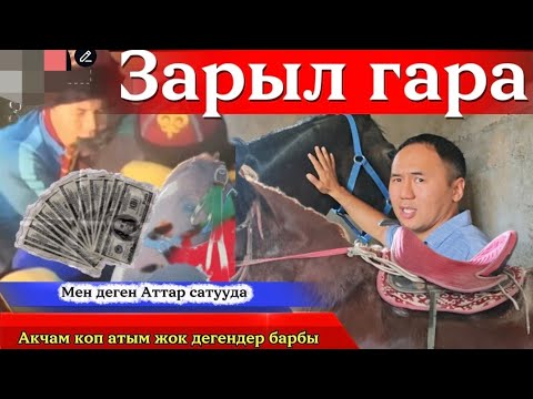 Видео: Зарыл гара аттарын сатууга койду