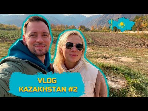 Видео: АЛЕКСАНДР СОКОЛОВСКИЙ. ВЛОГ: НОВЫЙ ПРОЕКТ, ЗНАКОМАЯ ПАРТНЕРША, ТРЕНИРОВКА С ЛОШАДЬМИ.