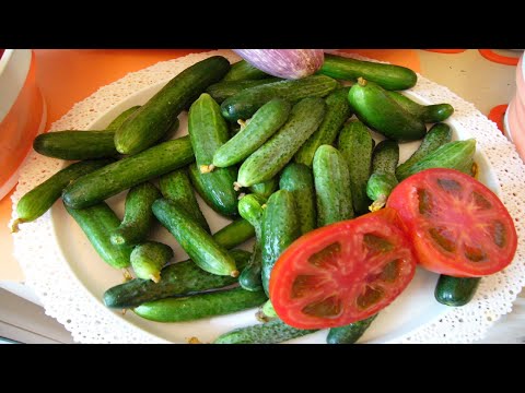 Видео: Огурцы для грунта и для подоконника  Обзор сортов