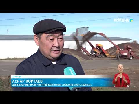 Видео: KOKSHE AQPARAT | Новости - 10.10.2025