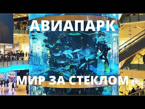 Видео: АКВАРИУМ РЕКОРДНЫХ РАЗМЕРОВ В ТРЦ АВИАПАРК! РЫБОК КОРМЯТ ПРЯМО С РУК! НЕВЕРОЯТНАЯ КРАСОТА!