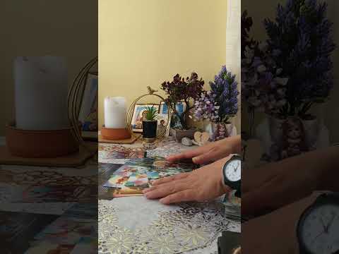 Видео: За всеки по нещо