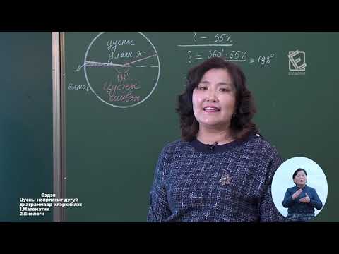 Видео: Өдөр 12  7 р анги Цусны найрлагыг дугуй диаграммаар илэрхийлэх