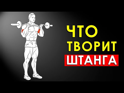 Видео: Что Будет с Телом, Если Выполнять Упражнения со Штангой Каждый День