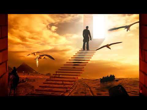 Видео: Для чего нужна Тора?