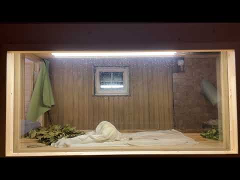 Видео: Руднев Антон г. Челябинск Домашний Банщик. Зачет.