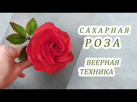 Видео: Роза из шёлковой гибкой мастики/Flexible sugar fondant rose/Rosa de fondant de azúcar flexible