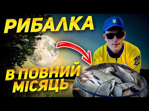 Видео: ЛЯЩ В ПОВНИЙ  МІСЯЦЬ - Фідерна Рибалка на ляща