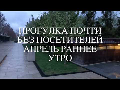 Видео: Прогулка по Японскому саду апрель раннее утро