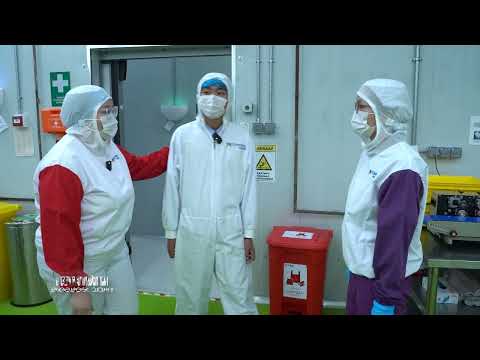 Видео: Маргаашийн би- Өнөөдрөөс эхэлнэ №3 "Маркетинг менежер"