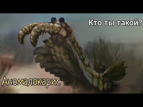 Видео: Аномалокарис  - кто он такой?