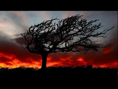 Видео: Танцы минус - Цветут цветы (Dmitry Glushkov feat. Bo Ligatov cover)