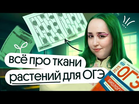 Видео: ⚡️ТКАНИ РАСТЕНИЙ для ОГЭ по БИОЛОГИИ | ОТКРЫТЫЙ УРОК сентябрьского курса⚡️