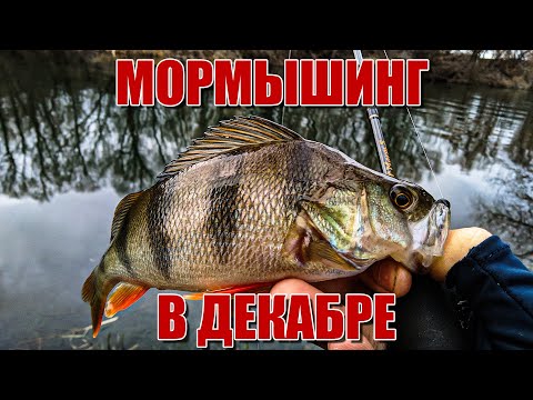 Видео: Мормышинг в декабре | Ловля окуня зимой спиннингом | Снасть которая выручает в бесклёвье