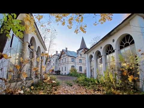 Видео: Магазин Гвардейского Экономического Общества 1912 Царское Село