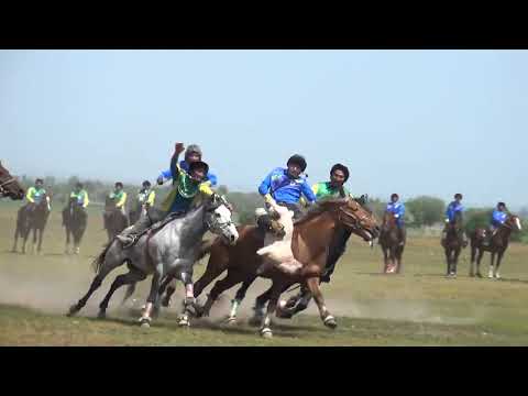 Видео: Абай ауылы көкпар ролик