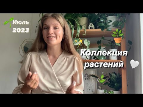 Видео: Коллекция комнатных растений 🪴 | Июль 2023 | Изменения с мая 👀