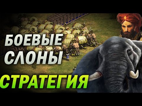 Видео: АРМИЯ БОЕВЫХ СЛОНОВ - ВРАГИ СДАЮТСЯ СРАЗУ! САМАЯ ОПАСНАЯ СТРАТЕГИЯ В РЕЙТИНГЕ. Age of empires 2