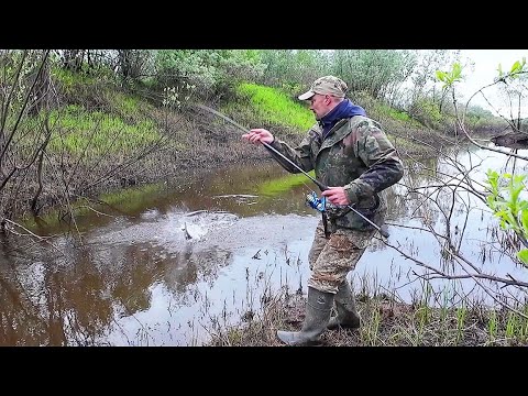 Видео: РЫБА ПРЯЧЕТСЯ ПОД МОСТОМ В РУЧЬЕ / ЛОВИМ ОКУНЯ И ЩУКУ НА СПИННИНГ ПРЯМО ИЗ ПОД НОГ.