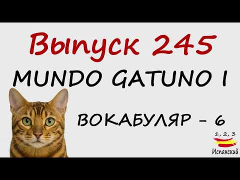 Видео: 245. Mundo gatuno I - Вокабуляр - 6