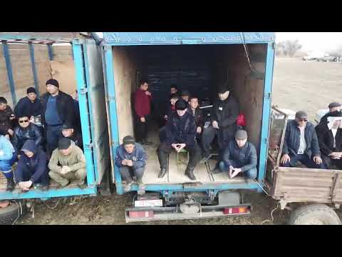 Видео: Алтынбеков Сүндет берген бата кокпар!!!