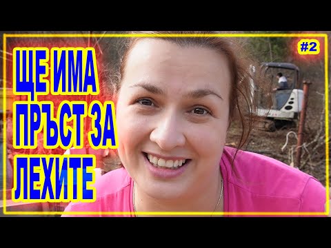 Видео: ЖИВОТ НА СЕЛО: Как багерът изчисти двора ни ЧАСТ 2 #дидоикали