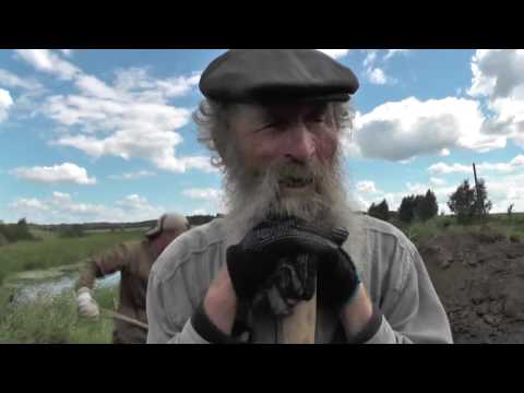 Видео: №2.  Рыжковский  (северный)  пруд.  08. 08. 2016