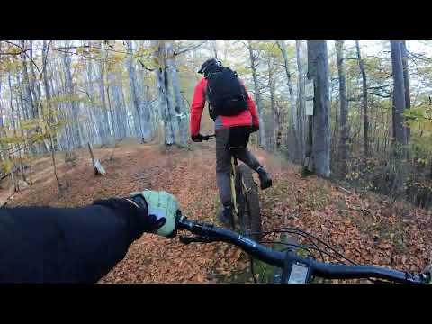 Видео: Есен 2024  - Козя Стена ... Чифлика